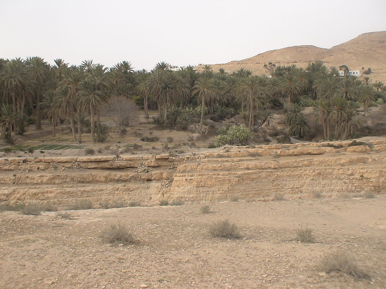 Midès en Tunisie
